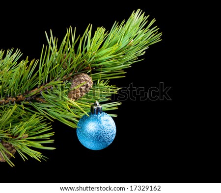 blue toy,coniferous branch on dark background with toy cristmas