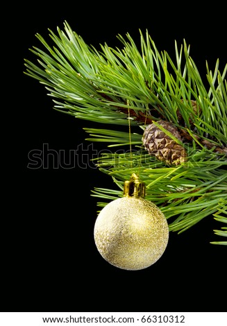 coniferous branch on dark background with toy cristmas