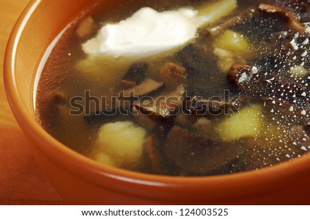 Russian sauerkraut soup with mushrooms and pearl barley.home made mushroom soup