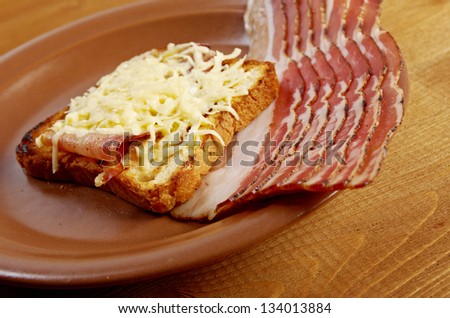 Cheese toast with piece  bacon.Close up of toasted white bread in slices