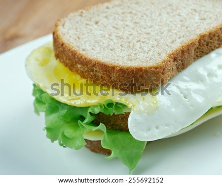 Boterhammen - Dutch sandwich, sandwich with raw and fried egg