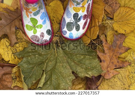Small girl standing in dry autumn leaves