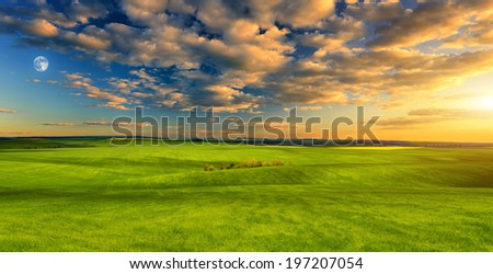 Agricultural land in evening
