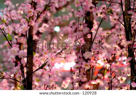 Chinese New Year Decor - Flowers Stock Photo 120928 : Shutterstock