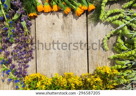 Different kinds of fresh wild herbs on a wooden table: Sideritis Scardica, Perforate St John\'s-wort, Marigold - calendula (Calendula Officinalis)