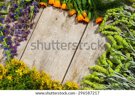 Different kinds of fresh wild herbs on a wooden table: Sideritis Scardica, Perforate St John\'s-wort, Marigold - calendula (Calendula Officinalis)