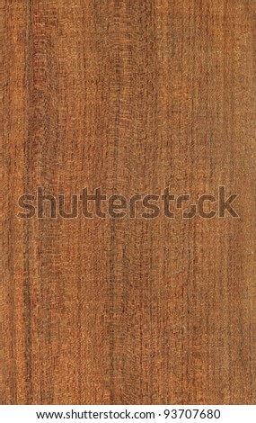 Wood texture of Vietnamese Beech