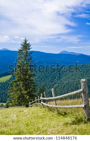 the fence in the mountains in the summer