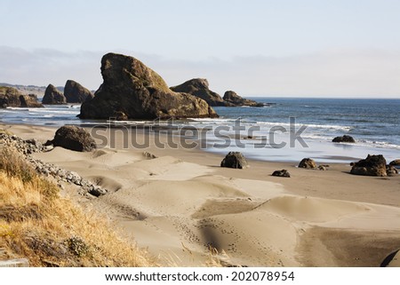 The Oregon coast sand dunes in the front with brown grass and footprints. mid picture the beach with some water and rocks. Back the large rocks that hug the coast line. Waves in the ocean cloudy day.