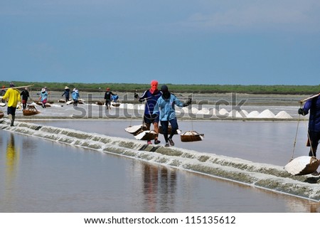 Salt-workers in mask carry salt on their shoulder in salt pans