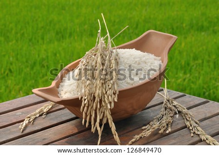 rice in bowl and paddy rice on wood table in the green rice field background; three status of rice