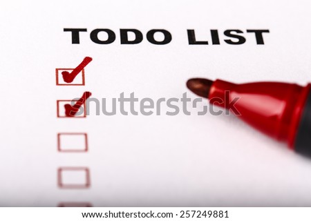 To Do list with check marks isolated on white