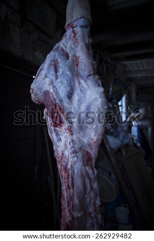 death pig on hook, raw meat - butchery