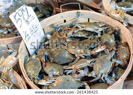 Live crabs sold on a street market, at Chinatown, Manhattan, New York, USA