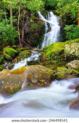 Mouse Creek Falls in Great Smoky Mountains National Park