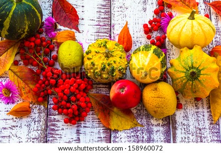 autumn fall background table setting background vegetables fruits harvest
