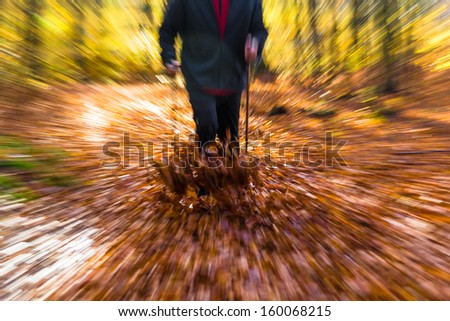 Legs of man cultivating autumn in the forest Nordic walking