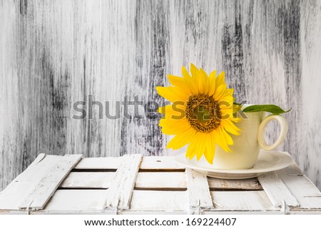 Still life with sunflower on white cup on white wooden background