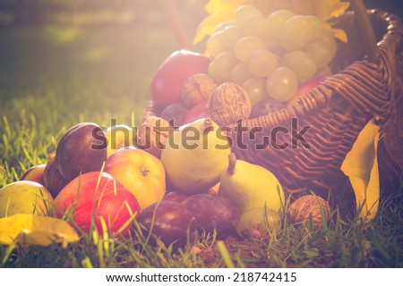 A basket full of fruits on grass in the sunset light
