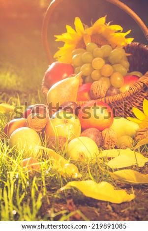 A basket full of fruits on grass in the sunset light