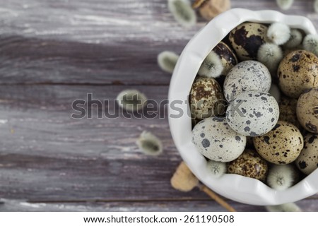 Small quail eggs in a dish on a wooden table. Scattered database.