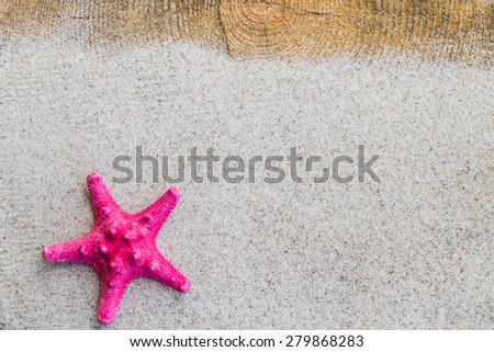 Sea shell on the sand and board