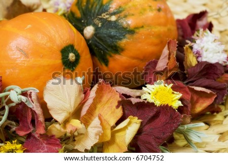 Still life with two small orange pumpkins and diadem from autumn leaves and flowers