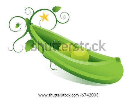 Peas In A Pod. peas in a podquot; concept