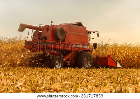 Red harvester working on corn field in autumn season
