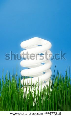 Bright eco light bulb rising above the green grass.Protect the nature and use eco energy.Blue background and copy space on top for own text.