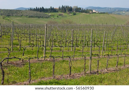tuscany wineries European