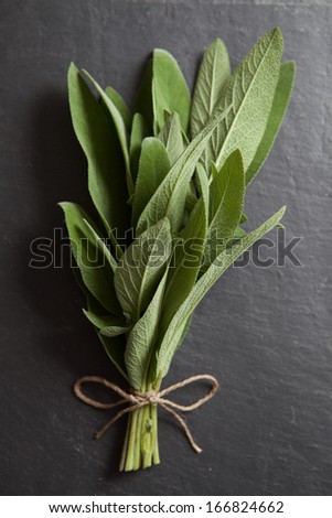 Fresh Herbs: Sage