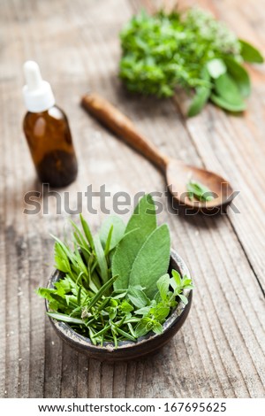 Fresh herbs, alternative medicineFresh herbs, alternative medicine