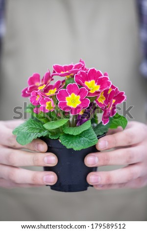 Man Holding Potted Flowers