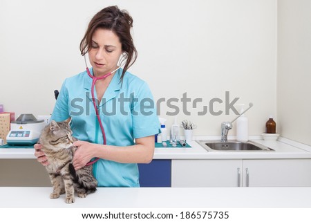 Young female veterinary caring of a cute cat