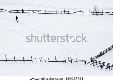winter scene with a man walking on the carpet of snow, between wooden fences