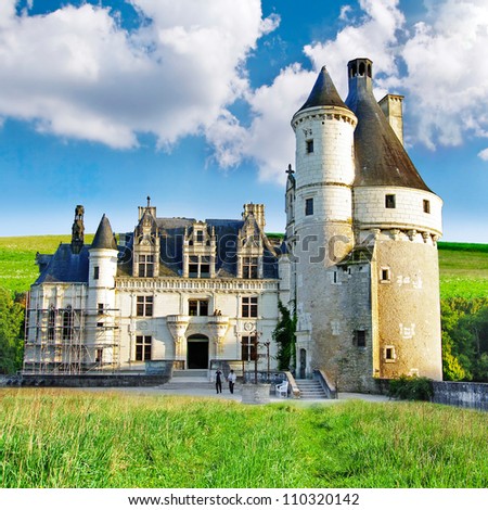 Beautiful Chenonceau castle , Loire valley, France