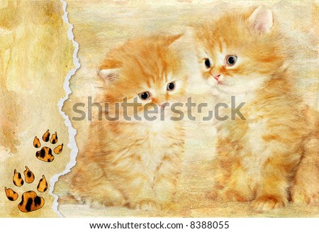vintage background with paper border and kittens picture