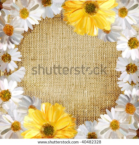 vintage framed background from painted daisy flowers
