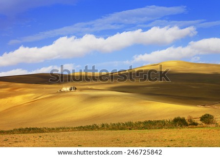pictorial  landscapes of Tuscany. golden hills .