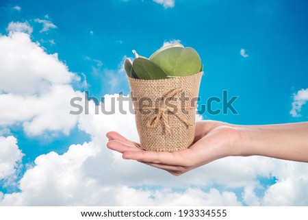 Hand holding a tree for giving life to the Earth with blue sky