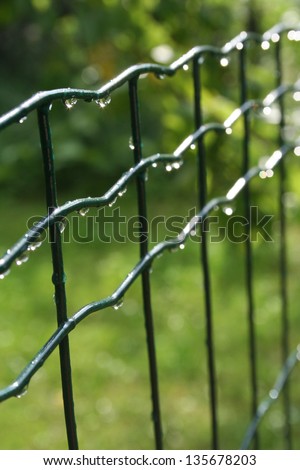 Closeup of dew drops on a metallic fence