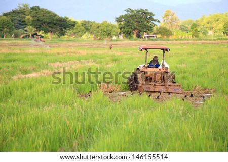 red tractor in green field