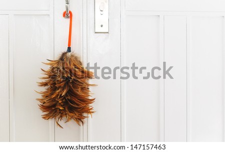 feather duster on white door