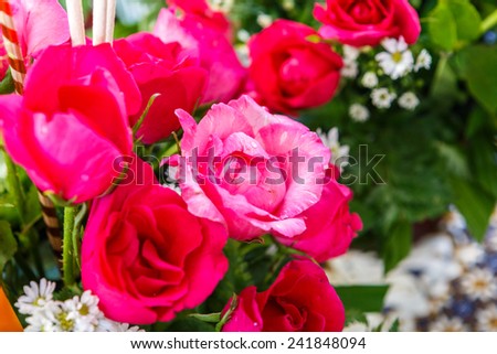 Beautiful rose bouquet