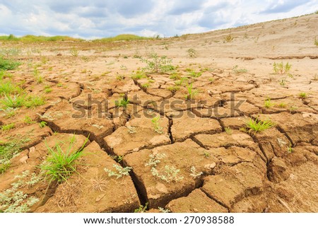 surface crack of  soil in arid area