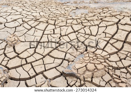 surface crack of soil in arid area