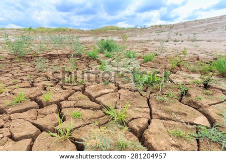 surface crack of soil in arid area