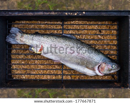 Fresh trout fish ready to be cooked on fireplace