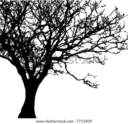 Hanging Tree Silhouette